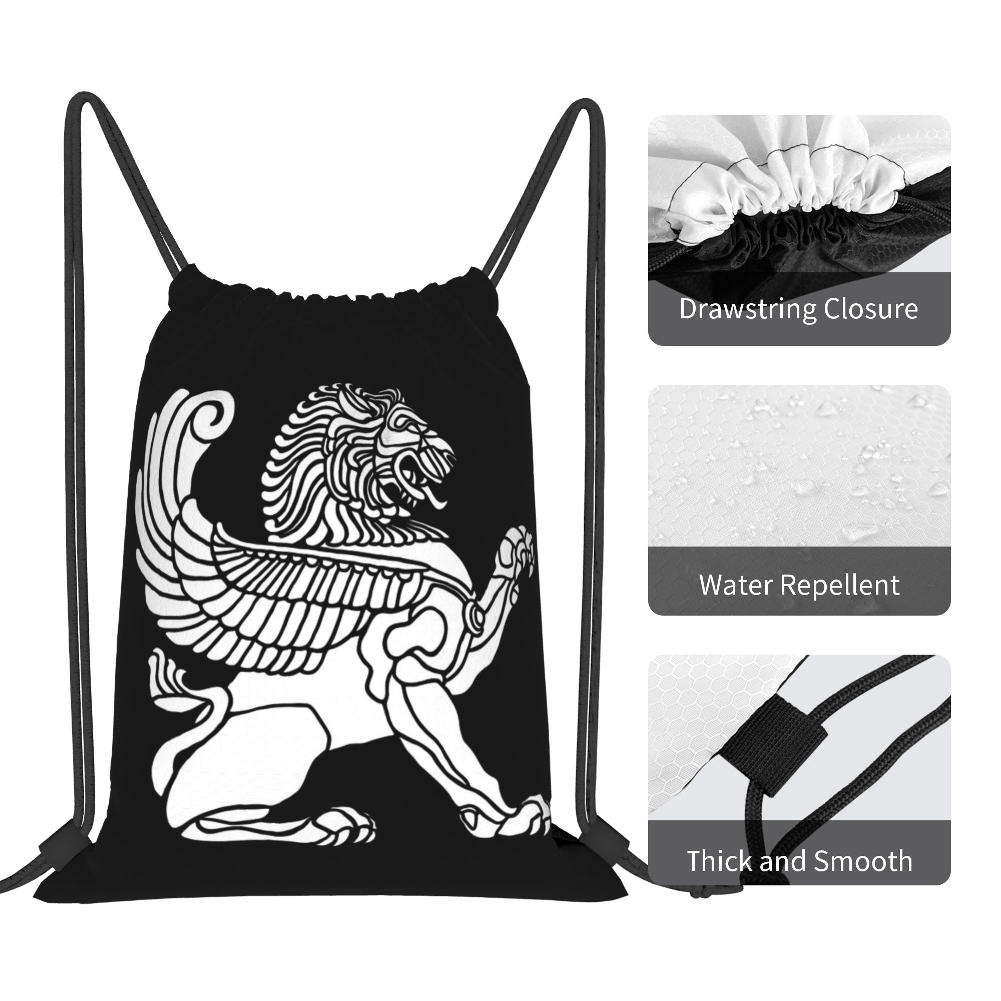 페르시아 사자 이란 이란 페르시아 상징주의 드로스트링  - Drawstring Gym Bag 리뷰 및 가격